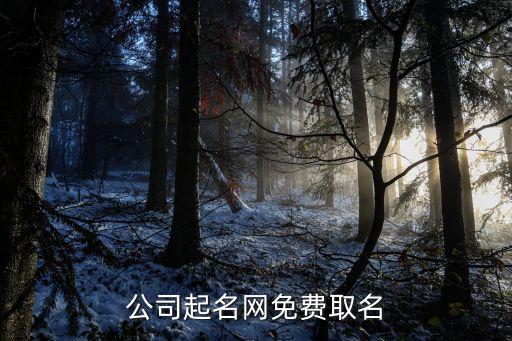 公司起名网免费取名