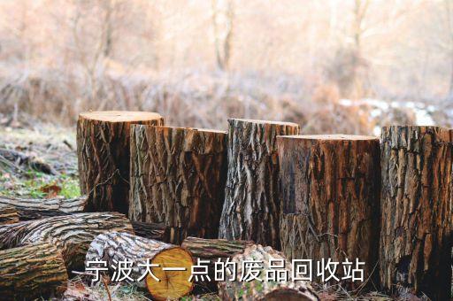 宁波大一点的废品回收站