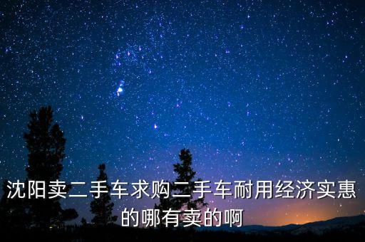 沈阳卖二手车求购二手车耐用经济实惠的哪有卖的啊