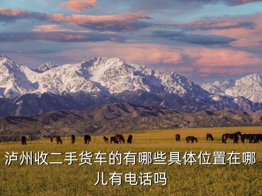 泸州收二手货车的有哪些具体位置在哪儿有电话吗
