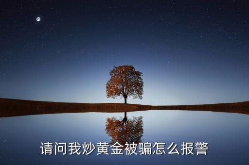 请问我炒黄金被骗怎么报警