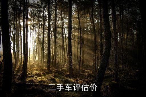 二手车评估价