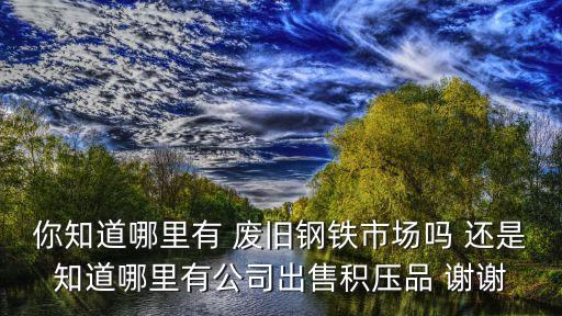 你知道哪里有 废旧钢铁市场吗 还是知道哪里有公司出售积压品 谢谢