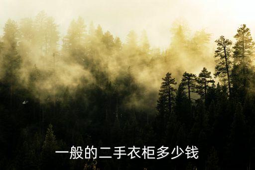 一般的二手衣柜多少钱