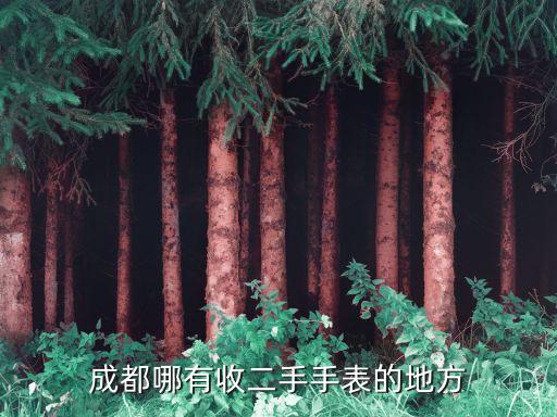 成都哪有收二手手表的地方