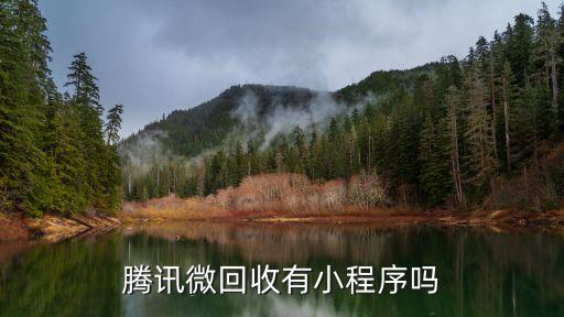 腾讯微回收有小程序吗
