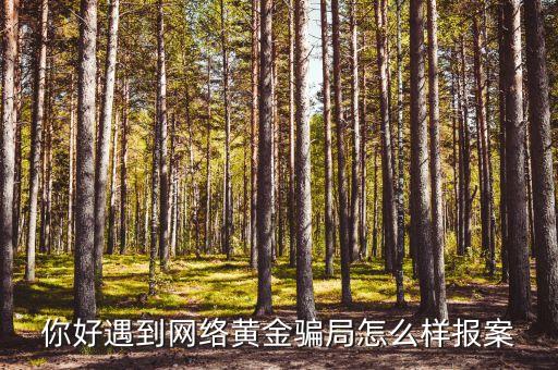 我被回收黄金的给骗了能报警吗，你好遇到网络黄金骗局怎么样报案