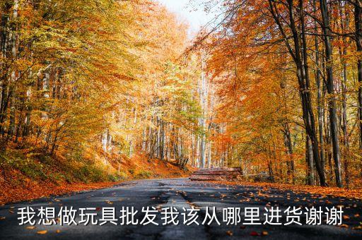 我想做玩具批发我该从哪里进货谢谢