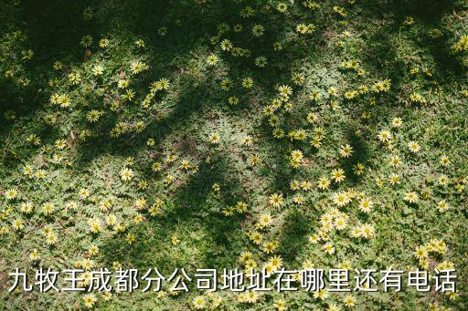 九牧王成都分公司地址在哪里还有电话