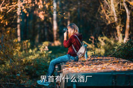界首有什么酒厂