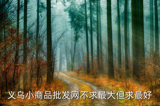 义乌小商品批发网不求最大但求最好