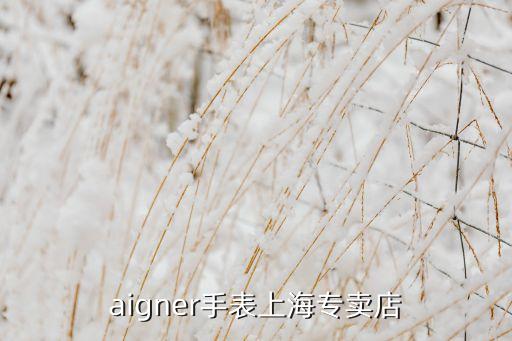 aigner手表上海专卖店