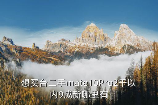 想买台二手mate10Pro2千以内9成新哪里有