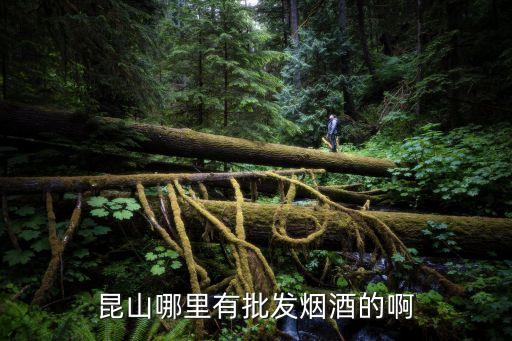 昆山哪里有批发烟酒的啊