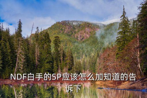 NDF白手的SP应该怎么加知道的告诉下