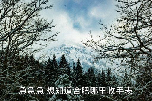 急急急 想知道合肥哪里收手表