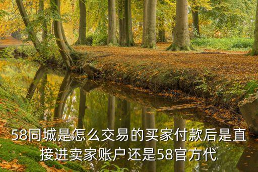 58同城是怎么交易的买家付款后是直接进卖家账户还是58官方代