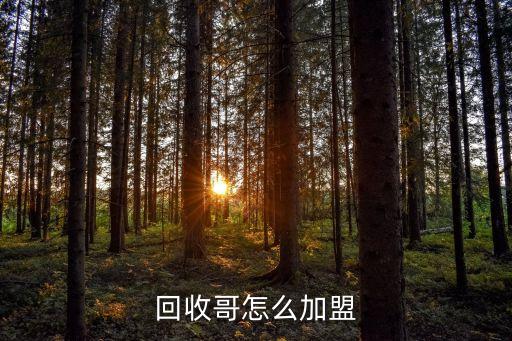 代加工回收代理加盟，我想做代理加工小玩意公司回收的谁知道哪有正规的
