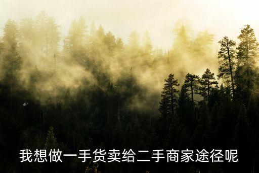 我想做一手货卖给二手商家途径呢