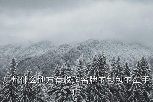 广州什么地方有收购名牌的包包的二手店