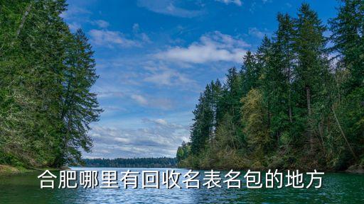 合肥哪里有回收名表名包的地方