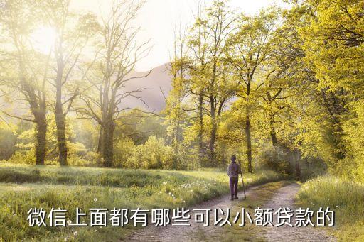 微信上面都有哪些可以小额贷款的