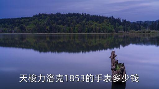 天梭1853力洛克价格，tissot1853手表报价