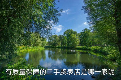 二手手表商城，有质量保障的二手腕表店是哪一家呢
