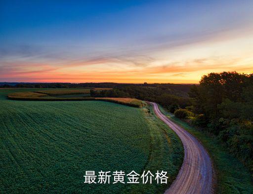 最新黄金价格