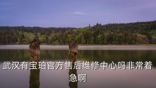 武汉有宝珀官方售后维修中心吗非常着急啊