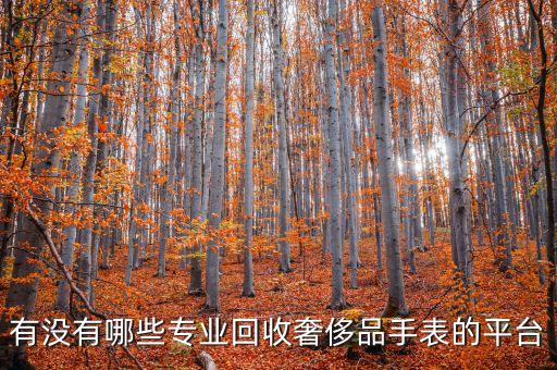 有没有哪些专业回收奢侈品手表的平台