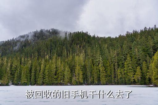 被回收的旧手机干什么去了