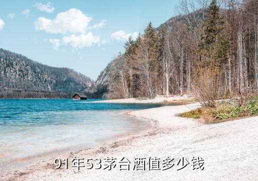 1991年53度飞天茅台价格，91年的53度茅台多少钱