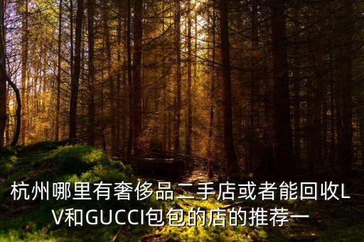 杭州二手奢侈品实体店哪个比较好，杭州口碑最好的奢侈品包包回收站有哪些出售名牌包包