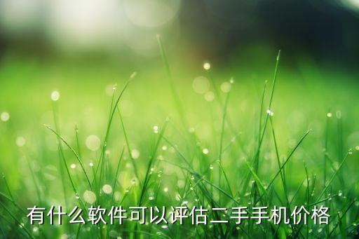 有什么软件可以评估二手手机价格