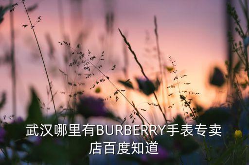 武汉哪里有BURBERRY手表专卖店百度知道