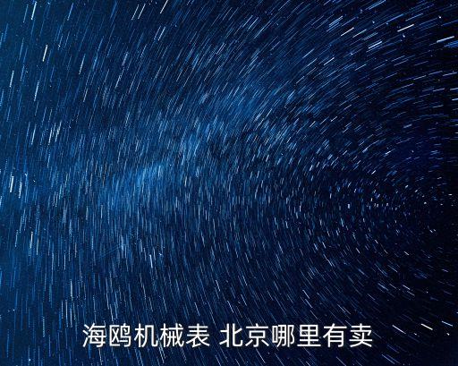 海鸥机械表 北京哪里有卖