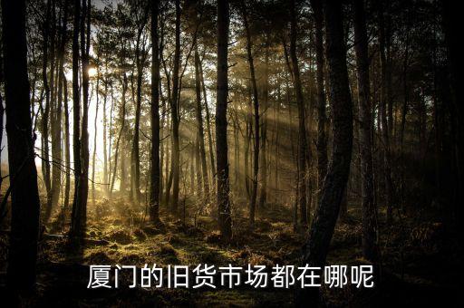 厦门的旧货市场都在哪呢