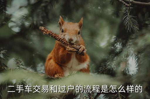 私人转让二手车流程，个人转让二手车需要走那些程序啊