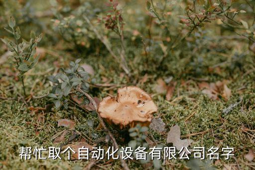 帮忙取个自动化设备有限公司名字