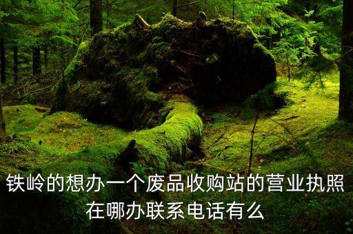 铁岭的想办一个废品收购站的营业执照在哪办联系电话有么