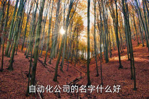 自动化公司的名字什么好