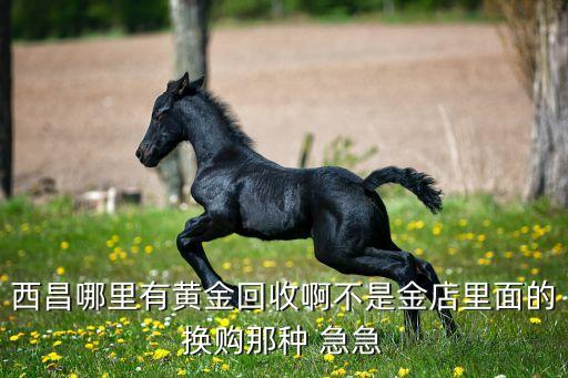 西昌哪里有黄金回收啊不是金店里面的换购那种 急急