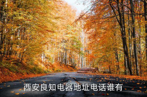 西安良知电器地址电话谁有