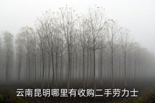 云南昆明哪里有收购二手劳力士