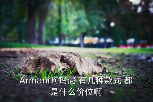 阿玛尼官网中国官方网男装，阿玛尼中文官网是多少