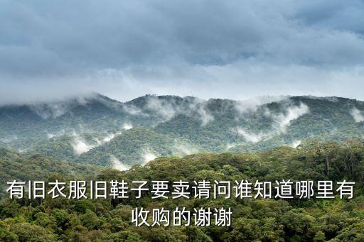 有旧衣服旧鞋子要卖请问谁知道哪里有收购的谢谢