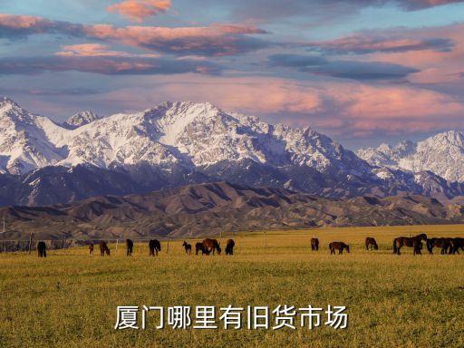 厦门目前最大的旧货市场，厦门的旧货市场都在哪呢