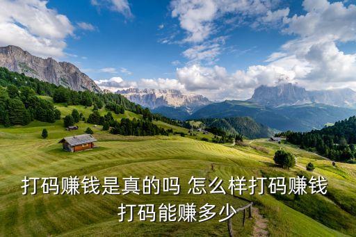 打码赚钱是真的吗 怎么样打码赚钱 打码能赚多少