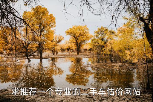 求推荐一个专业的二手车估价网站